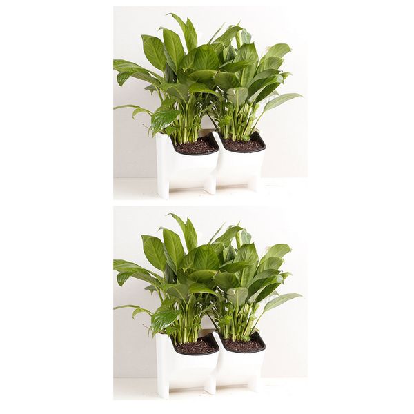 

2pcs stackable 2-pocket wall planter hanging plant pot self watering white