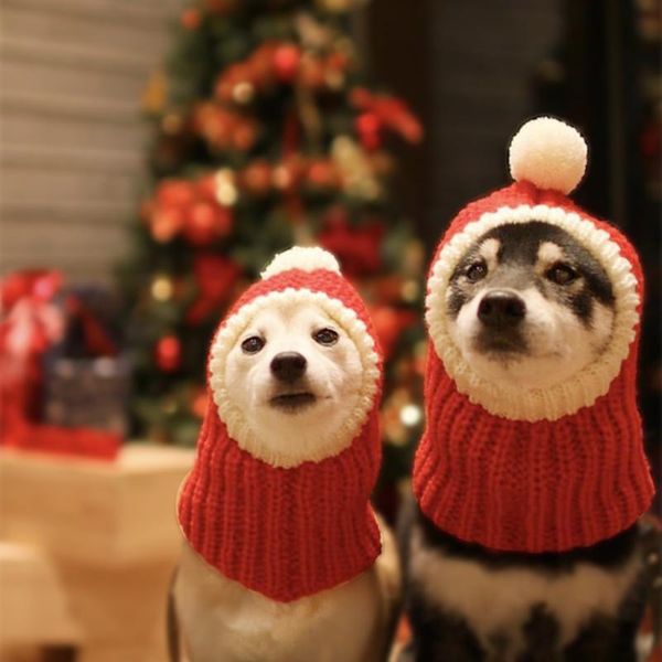 

woolen christmas knitted pet dog cat hats lovely winter puppy dog costume cute head dress hat size xs s m l xl