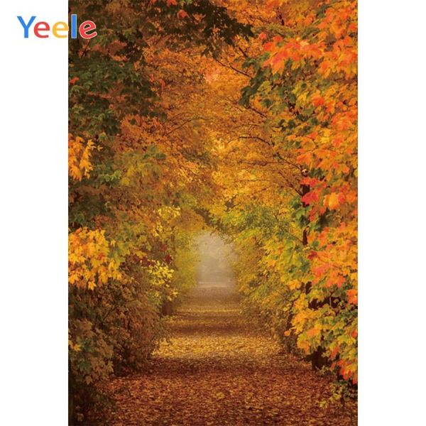 

background material yeele romantic forest road wonderful scenery autumn pography backgrounds personalized pographic backdrops for po studio