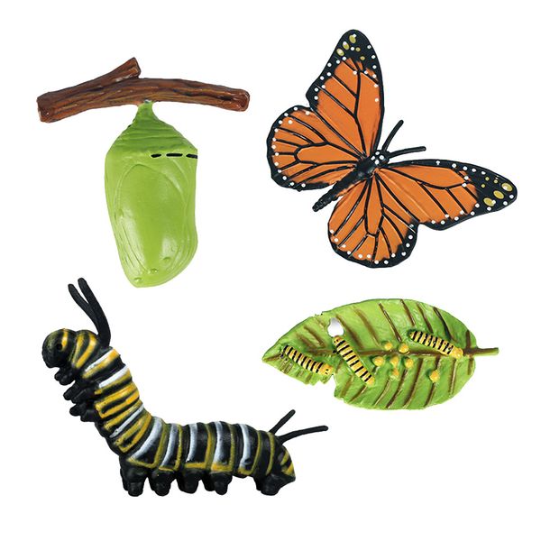 

realistic nature butterfly growth child education learning teaching toys