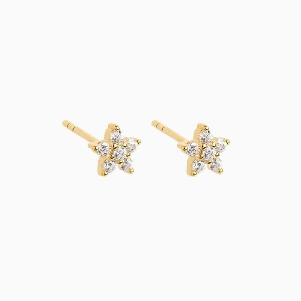 

mini cz flower earring the second piercing stud 100% 925 sterling silver small stud for girl women, Golden;silver