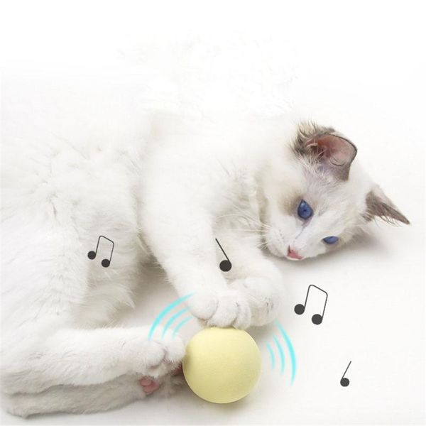 

cat toys teaser toy kitten interactive training scratching ball pet catching sounding funny cats playing chew catnip balls