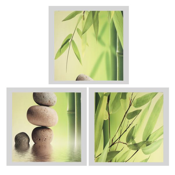 

3pcs modern art oil painting canvas picture bamboo wall home decor 40x40cm no frame