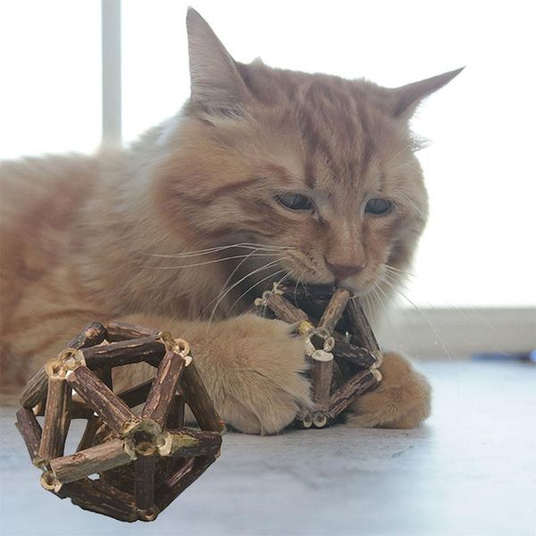 

chew catnip cat matatabi matatabi cat toy шариковой очистки завод естественных зубов органические игрушки игрушки silvervine палочки с bbysc