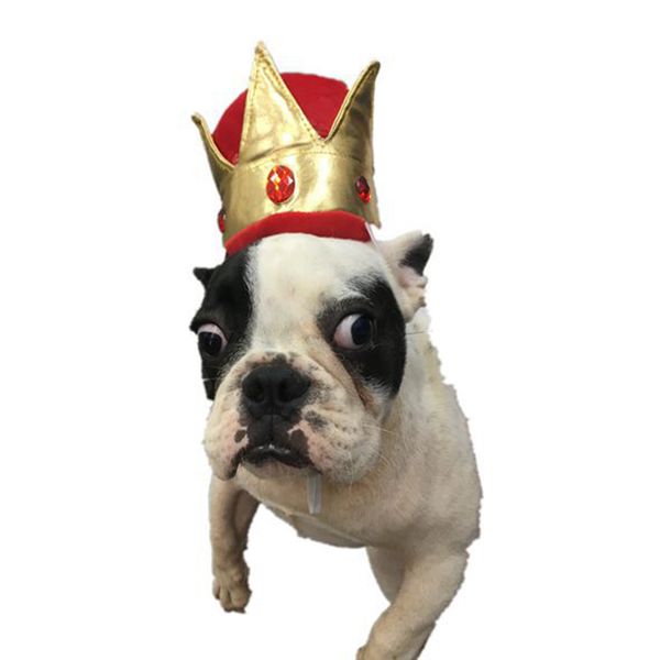 

pet dog cat crown hat costumes for holiday parties halloween xmas easter p prop