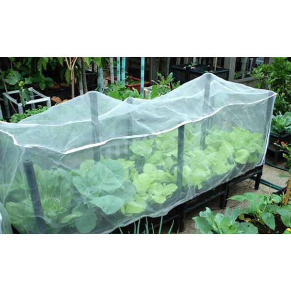 

insect animal garden insect netting vegetables pest plant crops protect mesh