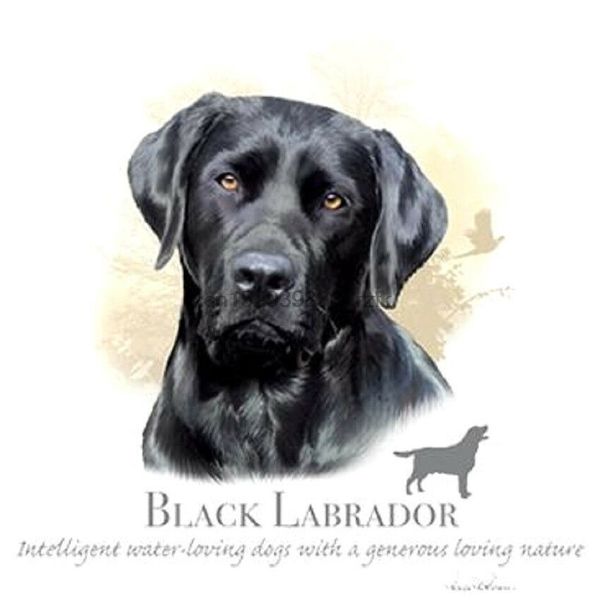 

black labrador dog t-shirt all sizes colors (661
