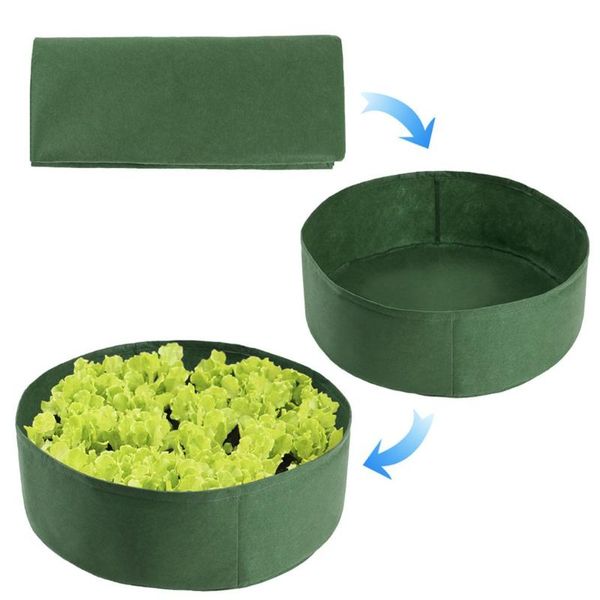 

sweet potato planting bag growth bag plant beauty planting tree plant growth
