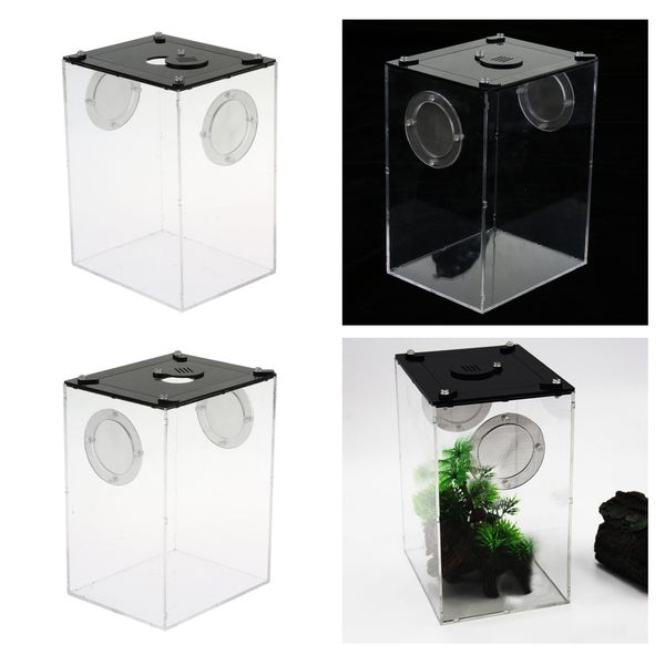 

2pcs reptile feeding box transparent cage hatching container for lizards