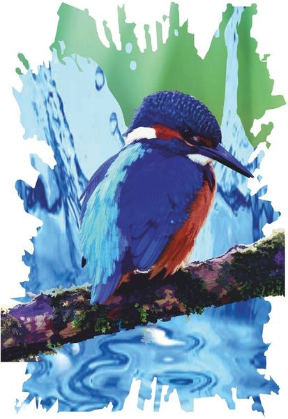 

kingfisher t shirt woodland bird rustic country nature wildlife country fashion