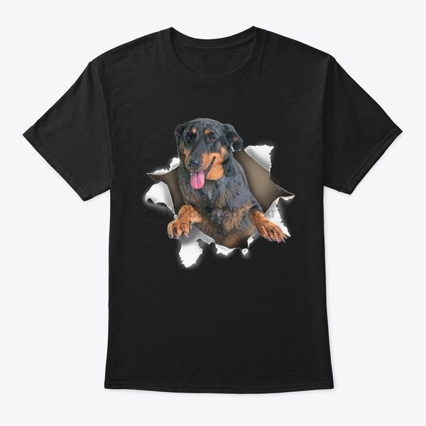 

men t shirt beauceron torn t shirt women t-shirt