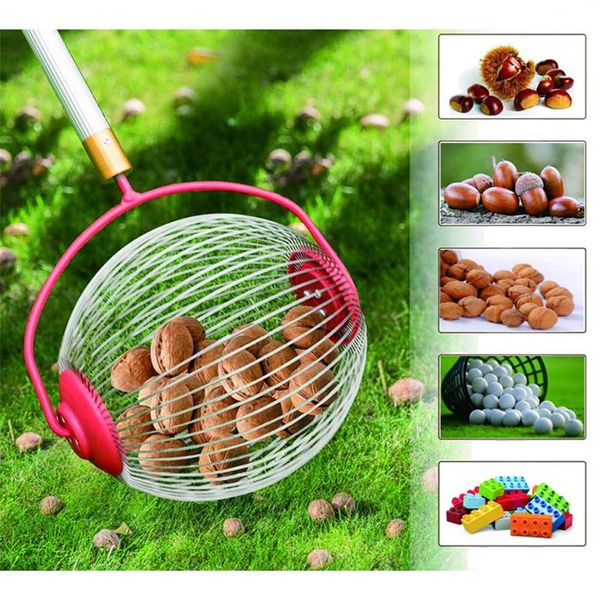 

walnuts chestnuts harvester roller nut collector retractable aluminum alloy ball garden fruit picker family orchards tool