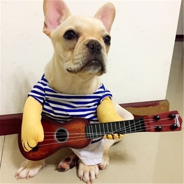

pet suit dog guitar hand transformation suit funny cat playing guitar standing upright transformation suit