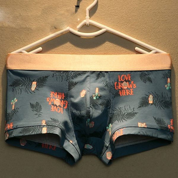 

New Mens Boxers Underwear Men Boxer Print Cotton Man Masculina Size -3XL