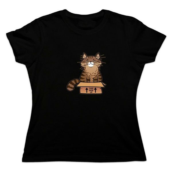 

cat sitting in box women's novelty t-shirt new funny tee shirt