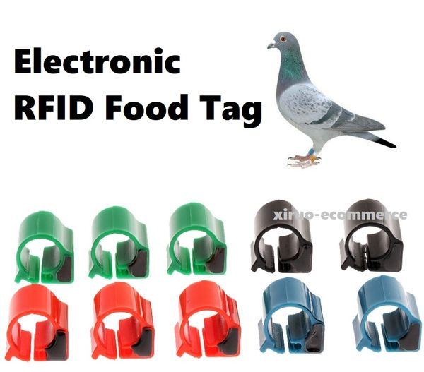 Anello elettronico RFID per l'identificazione di uccelli piccione pollo 10CM 125Khz TK4100 tag di tracciamento ID anello piede per forniture di formazione