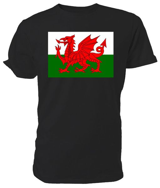 

welsh flag t shirt - choice of size & colours
