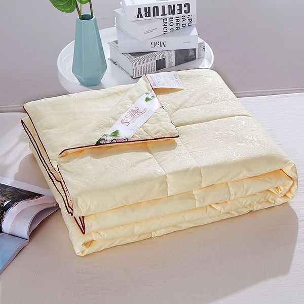 

air conditioning quilt core single double summer thin quilt cotton filled quilted not easy to fade and not to easy pilling