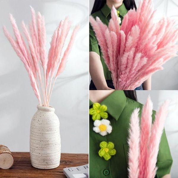 

bulrush natural dried small pampas grass phragmites for home fake bunch wedding flowers plants artificial decor flower w6t7