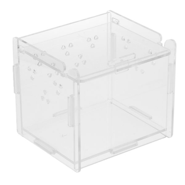 

reptile lizard spider scorpion insect vivarium feeding rearing box clear