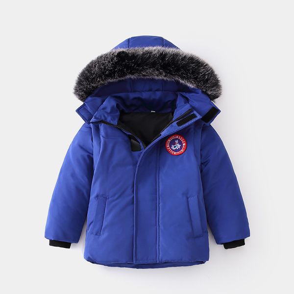 

2020 autumn and winter new thick warm and fashionable children's clothing detachable sleevehigh quas/caps children's down jacket, Blue;gray
