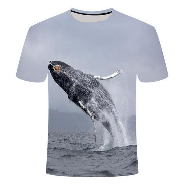 

summer the fish outdoor man 3d cool print fishing men short 0collar men fishing poissons 3d print shirts harajuku comics men clothing
