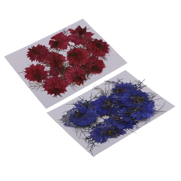 

24 pieces pressed real dried flower love-in-a-mist embellishment for diy resin ornament jewelry making diy necklace pendant charms red blue