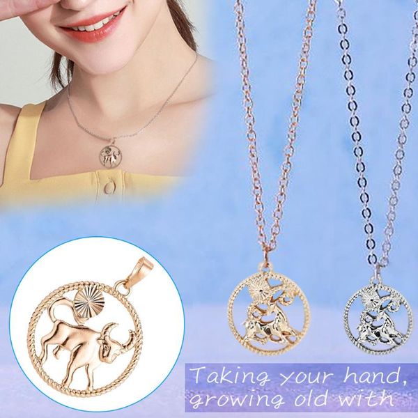 

female pattern accessories pendant chain ladies romantic choker fashion hollow design couple twelve constellation necklace, Silver