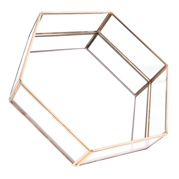 

geometric hexagonal jewelry box tableterrarium plant succulent planter, White