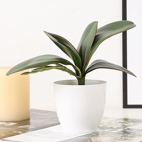 

artificial plants plastic phalaenopsis leaf home garden decoration accessories pgraphy decorative