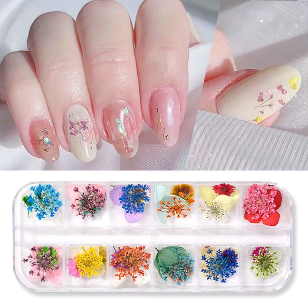 

12 colors dried flowers nail art decorations 3d natural daisy gypsophila preserved dry flower diy nail stickers manicure decor decal, Silver;gold