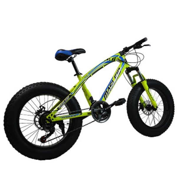 

double disc brake variable speed beach bicycle/20 inch 21 speed 4.0 tyre high carbon steel frame snowfield bicycle