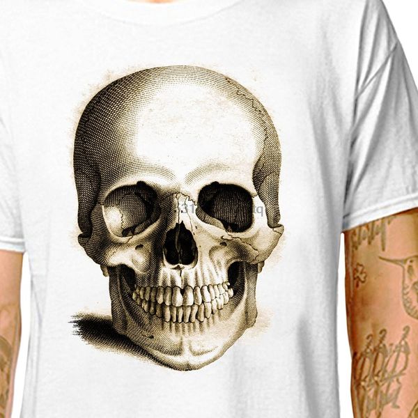

t shirt the skull anatomical drawing 100% cotton tees (lazycarrot) gothic steampunk medical student nurse doctor