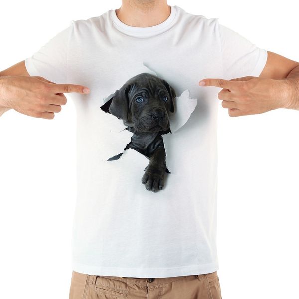 

кане корсо собаки и чихуахуа перерыв тенниску из ярких 3d tshirt мужчин 2018 новый белый случайные короткий рукав смешно тенниска ьотте