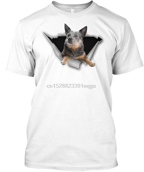 

men t shirt torn - australian cattle dog women t-shirt
