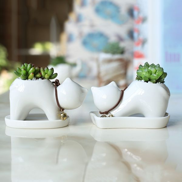 

american village style ceramics fleshy flowerpot home decoration lovely cartoon cat green planting and potted plants 6 8xn ff