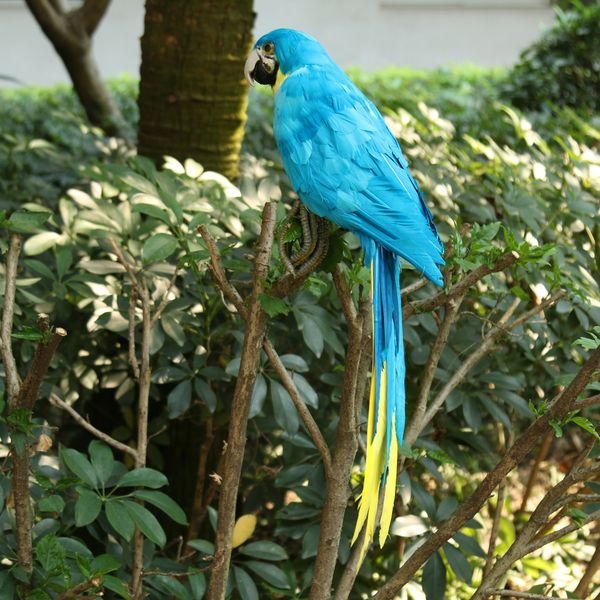 

искусственное перо синий птицы попугай craft таксидермия home art decor украшение