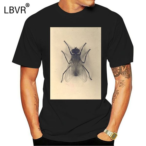 

the fly insect odd unique entomology t shirt hipster summer new brand t shirt loose hip hop loose t-shirt casual fitness