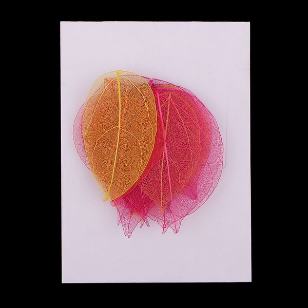 

20 pieces pressed dried linden leaves bodhi leaf for art craft scrapbooking