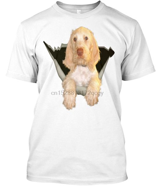 

men t shirt spinone italiano women t-shirt
