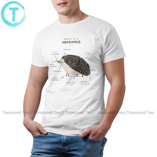 

hedgehog t shirt anatomy of a hedgehog t-shirt male summer tee shirt fun 4xl 100 percent cotton tshirt