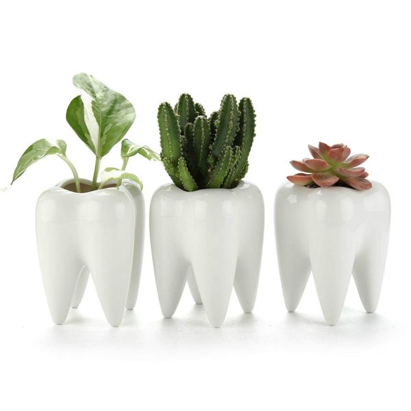 

tooth shape white ceramic mini flower pot modern design planter teeth model mini deskpot birthday gift sundries storage