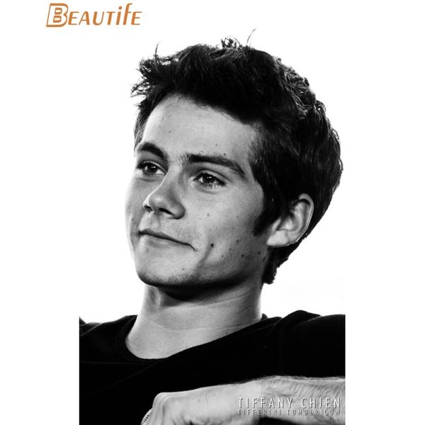 

paintings custom dylan obrien poster cloth silk home decoration wall art fabric print 30x45cm,40x60cm.50x75cm,60x90cm
