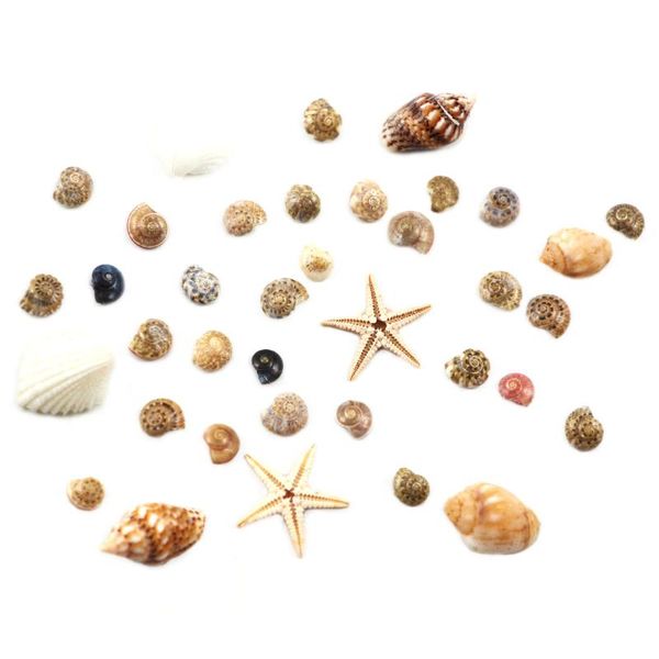 

1 box 3d natural nail art decoration mini conch shells mixed color chameleon nail rhinestone ornaments manicure tools for diy, Silver;gold
