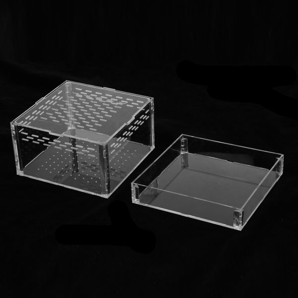 

многоразовый акриловые террариум box reptile breeding box для змеи ящерицы turtle clear