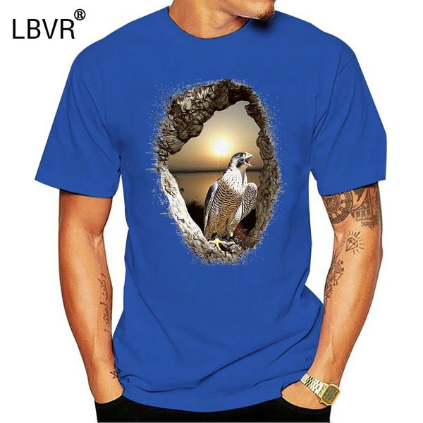 

peregrine-sunset-splash-bird prey dtg mens t shirt tees comfortable t shirt casual short sleeve print tees wholesale