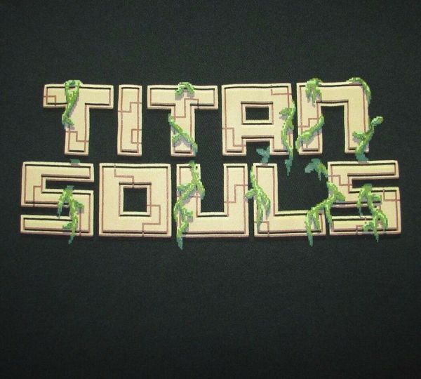 

titan souls mens fits like size s graphic t shirt ing