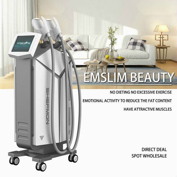 

virtually painless emsculpting machines emsculpt body shaping machines emsculpt emsculpt fat removal dhl ce certificated