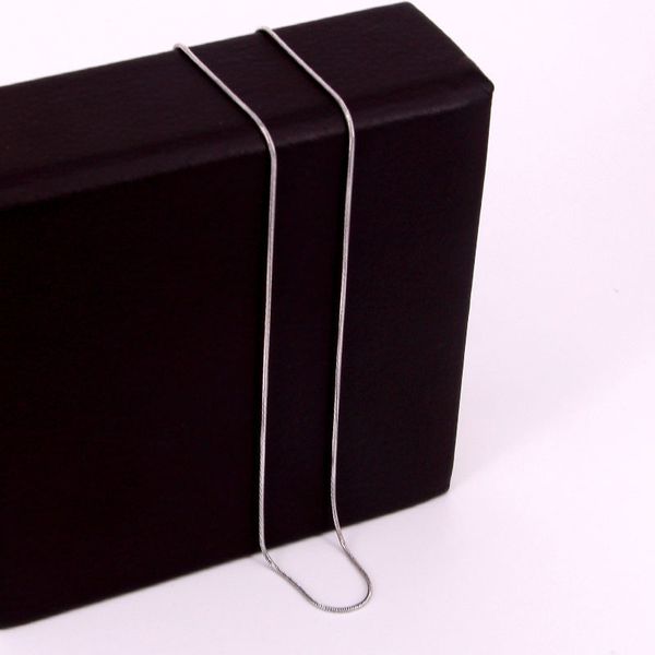 

chains titanium steel lucky simple jewelry snake bone chain necklace 40cm+5cm europe brand style bijoux nn002, Silver