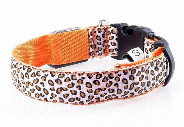 Leopardo sexy impressão LED Colares LED Pet Piscina Collary Nylon 3 Tamanho 6 Cores Frete Grátis